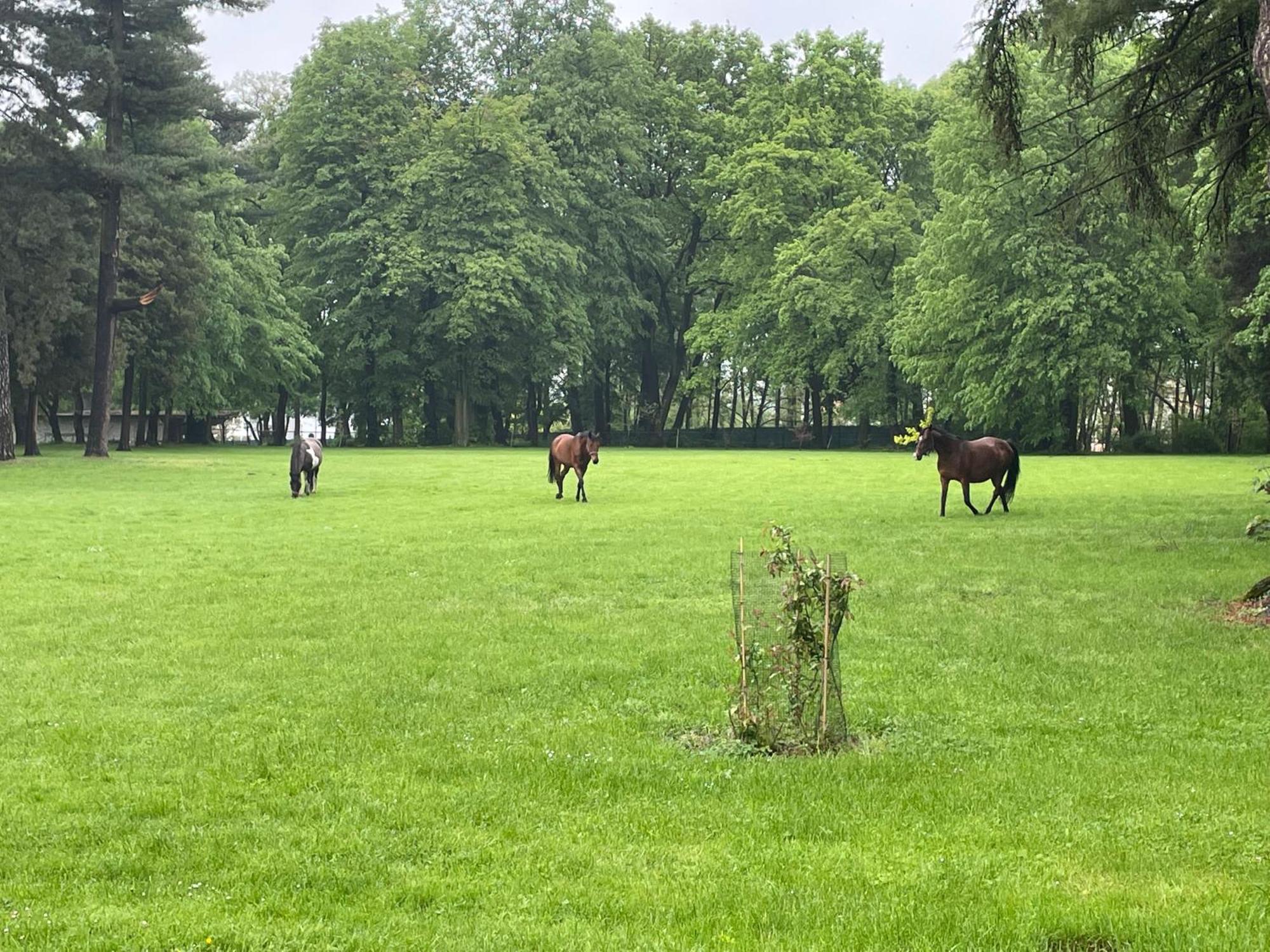 Palac Zbylitowskich Zbylitowska Gora Eksteriør bilde